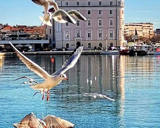 Luxury 2 Διαμέρισμα